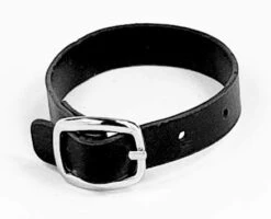 Personalized Leather Luggage Tags (Matching Set Of 2): High-Contrast Debossed Initial J – Flexible Custom Travel Tags W/Extra Address Cards & Privacy Flap To Protect Personal Information (2-pack, J) 7 Personalized Leather Luggage Tags (Matching Set Of 2): High-Contrast Debossed Initial J – Flexible Custom Travel Tags W/Extra Address Cards & Privacy Flap To Protect Personal Information (2-pack, J) -Luggage Factory 3102x27q7UL 67b65c99 7ac6 48a4 835a efd16dd2d0db