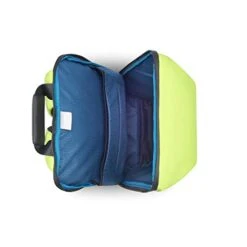 DELSEY Paris Securain Water-Resistant Laptop Backpack, Lemon, One Size -Luggage Factory 41AXCMmJH6L