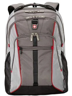 SwissGear 602682 Victorinox Lycus 16" Laptop Backpack With 12.9" Tablet Pocket -Luggage Factory 41EPwGSfRuL