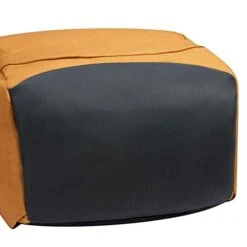 DELSEY Paris Securban Backpack (13.3" Laptop), Yellow -Luggage Factory 41ymG9LhlYL