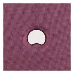 DELSEY Paris Luggage Cruise Lite Hardside 21" Carry On Exp. Spinner With Front Pocket, Black Cherry -Luggage Factory A1o0YtvPMRL